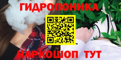 дмт Тара