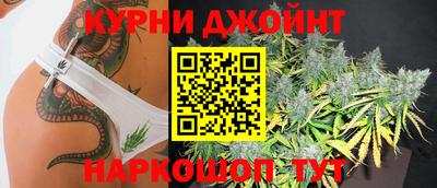 дмт Тара